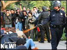 Cop_uc_davis_pepper_spray