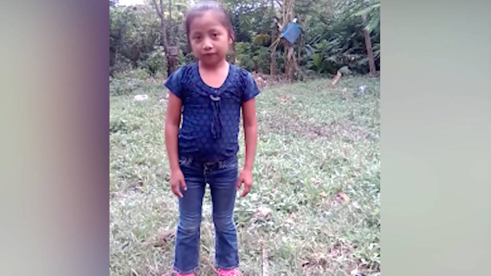 H6 jakelin