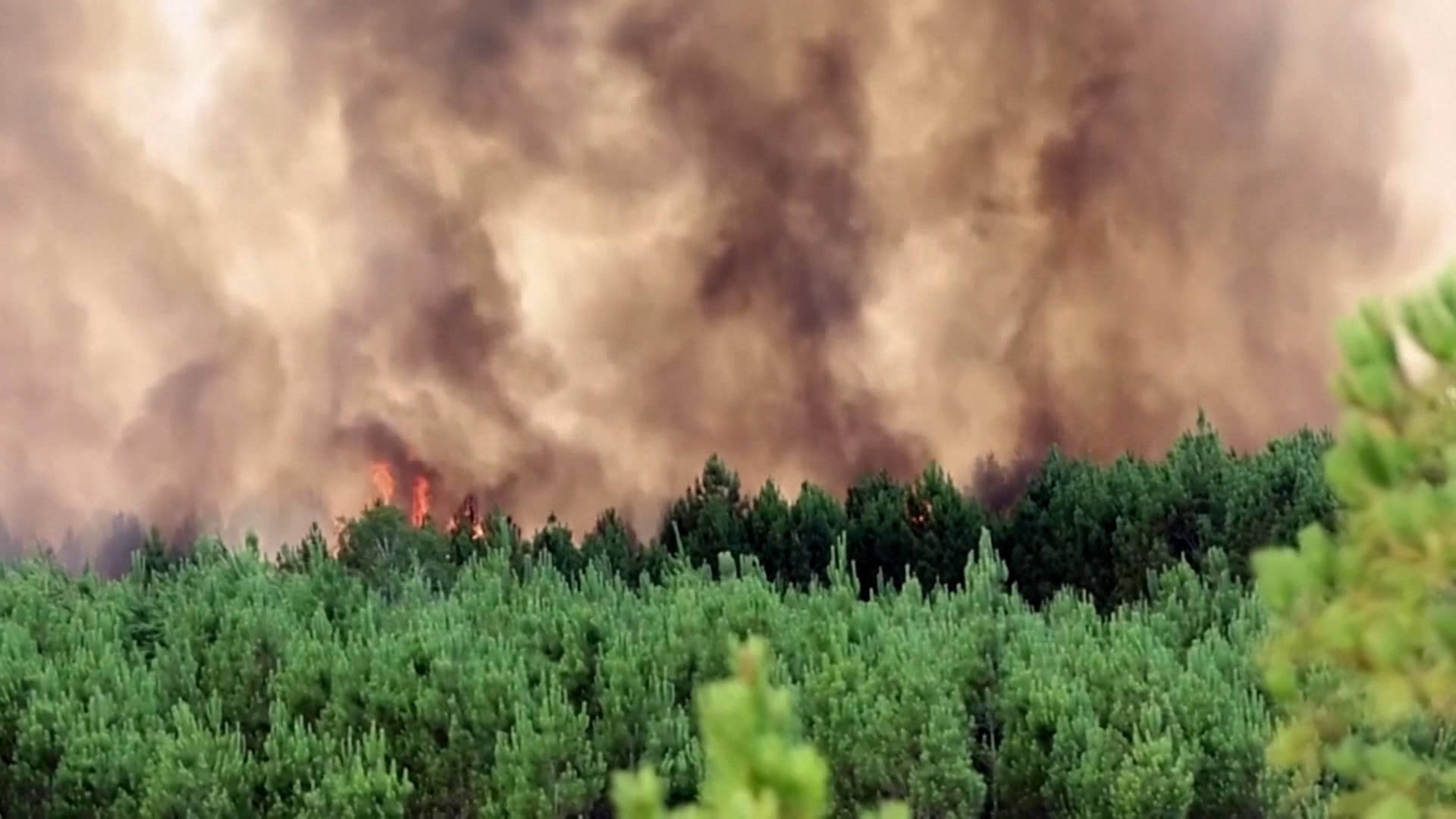 Hundreds Die in Europe Heat Wave; WIldfires Force Thousands to Evacuate