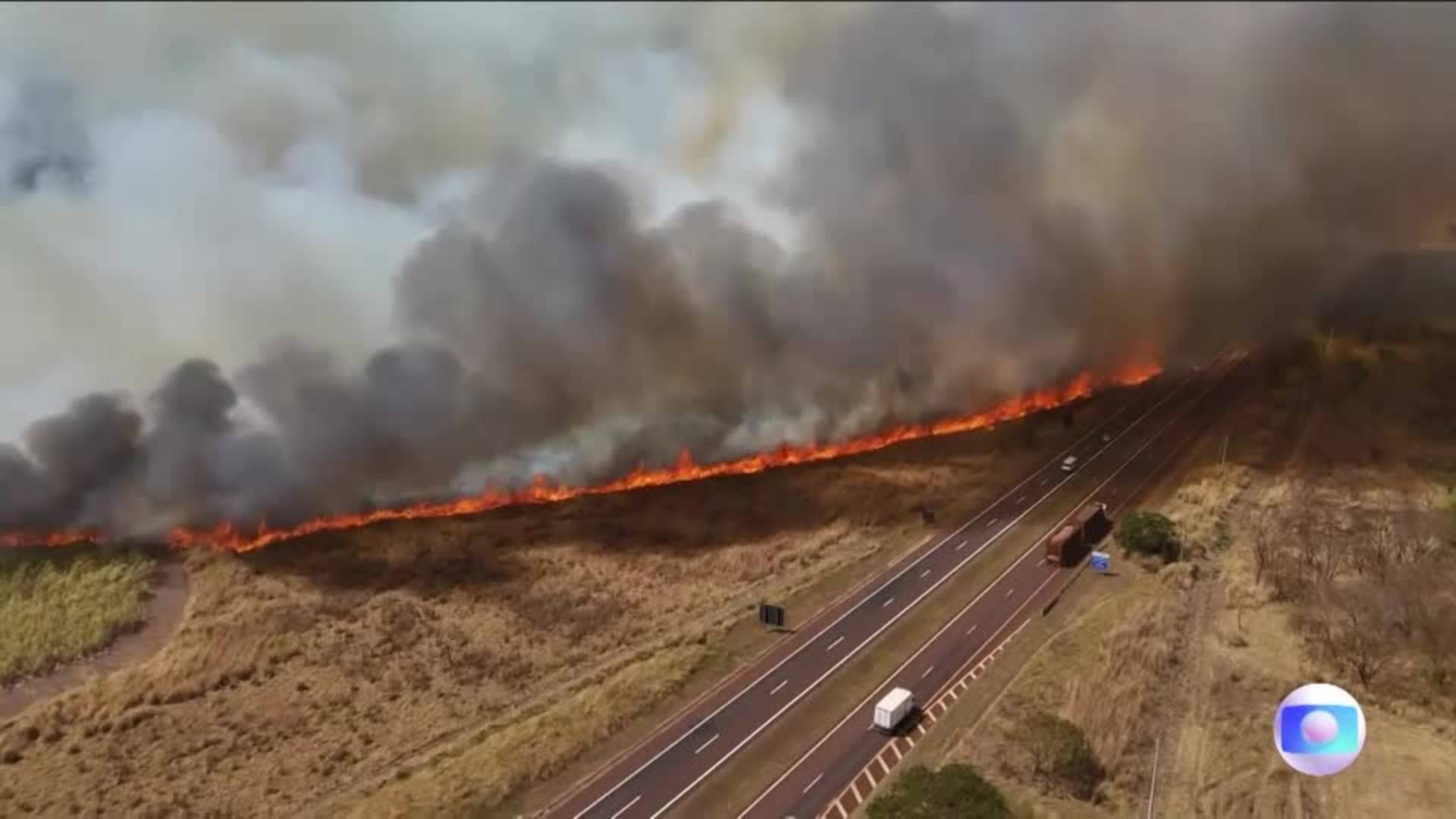 Record Wildfires in Brazil Rage Across Amazon, Pantanal Wetlands