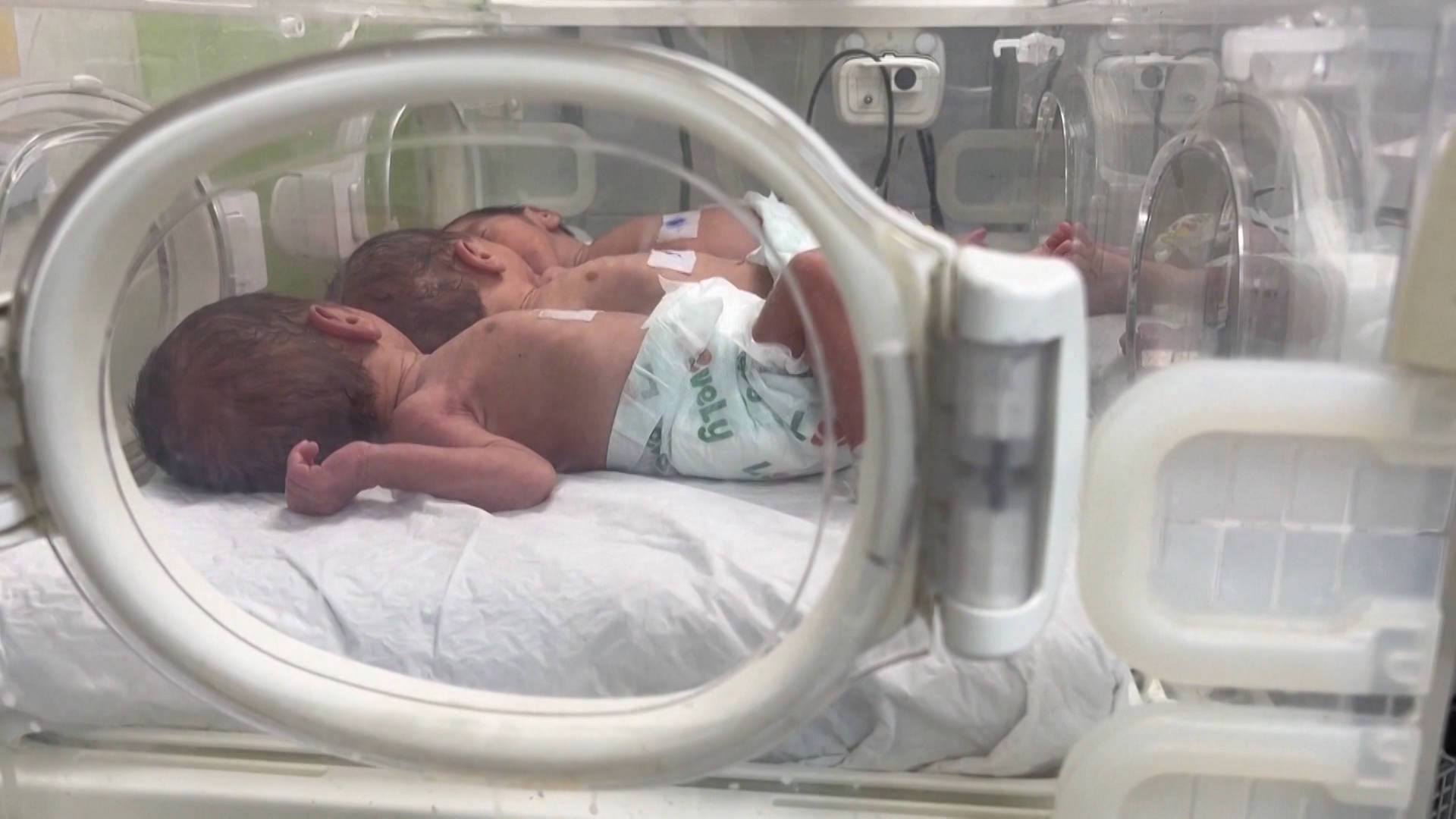 WHO Warns Infants in Gaza on the “Brink of Death” as Israel Keeps Limiting Aid Deliveries