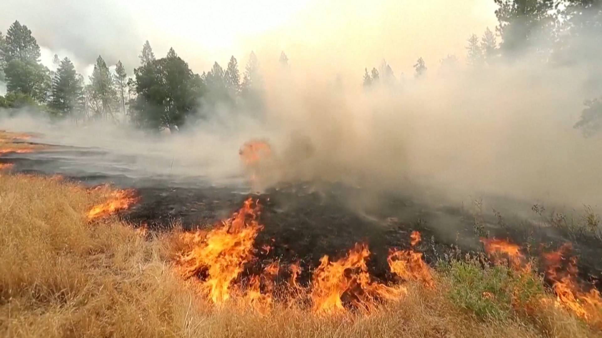 California Wildfire Explodes in Size as Millions Across U.S. Face Extreme Heat