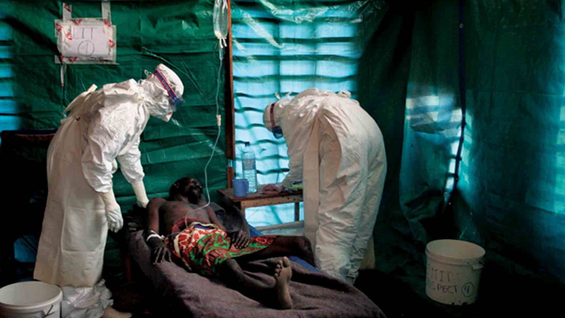 Vaccine Found 100 Percent Effective at Preventing Ebola Infection