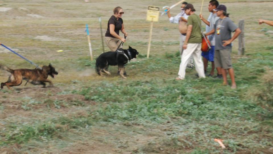 Dakota Access Pipeline Contractors Attack Native Americans ...