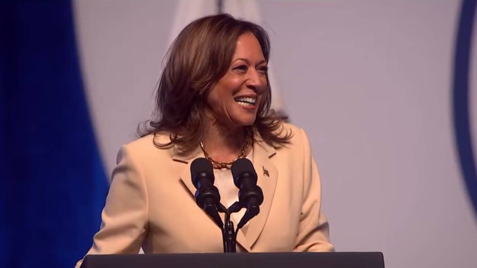 Kamala Harris Gets Enough Votes to Clinch DNC Nom as Trump Pulls Out of Debate