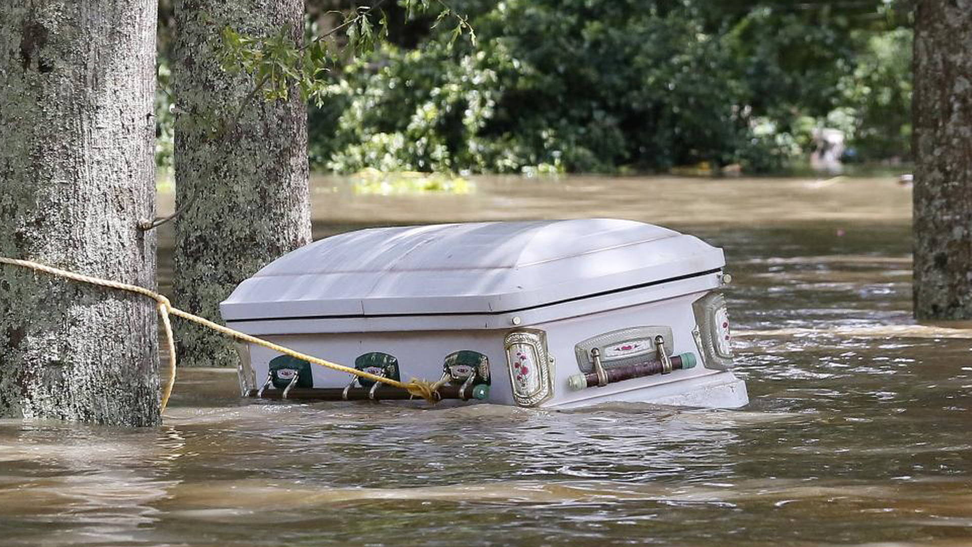 Louisiana Floods Worst Us Disaster Since Hurricane Sandy Democracy Now 2688