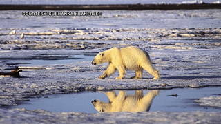 _S2_Arctic-national-wildlife-refuge.jpg