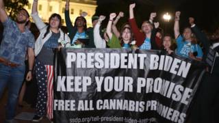 Seg2 bidencannabisprisonersbanner