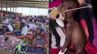 Famine in Sudan: Activist Marine Alneel Says International Community Must Act