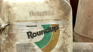 SEG2-Monsanto-1.jpg